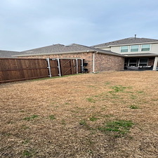 Lush-Pet-Friendly-Turf-Makeover-in-Garland-TX 3