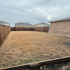 Lush-Pet-Friendly-Turf-Makeover-in-Garland-TX 4