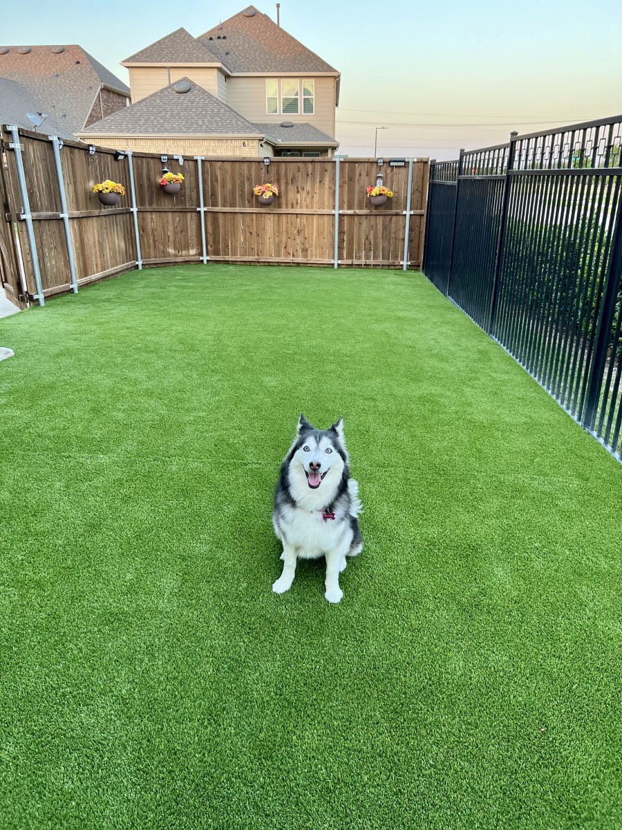 Paw-Perfect Play Area: Pet-Friendly Artificial Turf Installation in Garland, TX